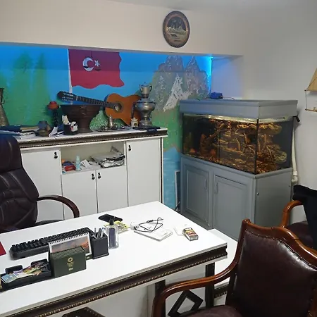 Sahin Office *